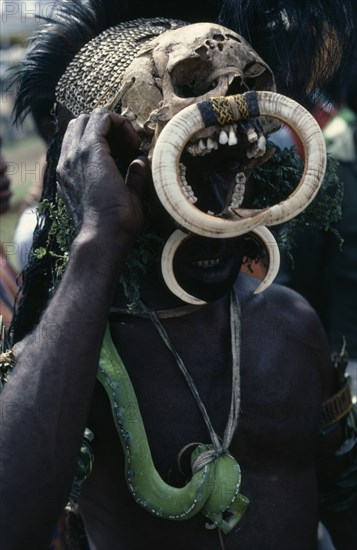 PAPUA NEW GUINEA, Highlands, People, Head and shoulders portrait of man wearing traditional head-dress of human skull adorned with pig tusks and a live snake as a necklace.  Masks and face painting are used to proclaim personal prestige on special occasions