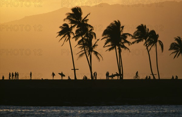 USA, Hawaii, Ala Moana, "Surfers, cyclists and palm trees silhouetted against orange sky with sea in foreground."