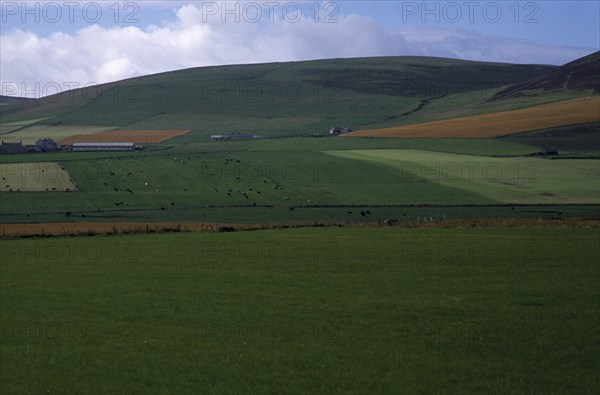 SCOTLAND, Orkney Island, Agriculture, Agricultural landscape showing field patterns and mix of dairy and arable farming.