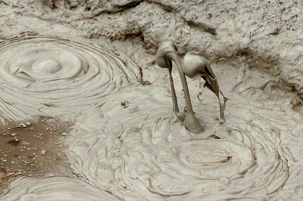 NEW ZEALAND, NORTH ISLAND, ROTORUA, BOILING MUD POOLS OF WHAKAREWAREWA THERMAL VILLAGE.