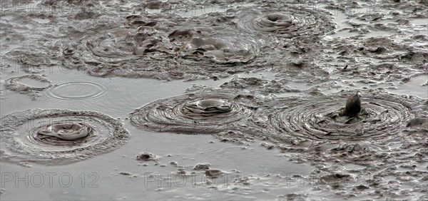 NEW ZEALAND, NORTH ISLAND, ROTORUA, BOILING MUD POOLS OF WHAKAREWAREWA THERMAL VILLAGE.