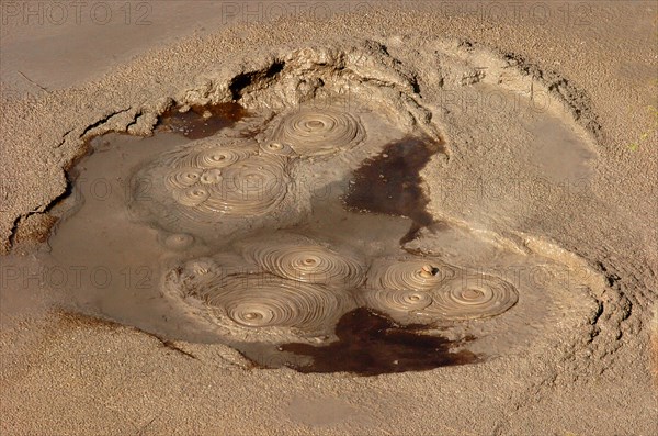 NEW ZEALAND, NORTH ISLAND, ROTORUA, BOILING MUD POOLS OF WHAKAREWAREWA THERMAL VILLAGE.