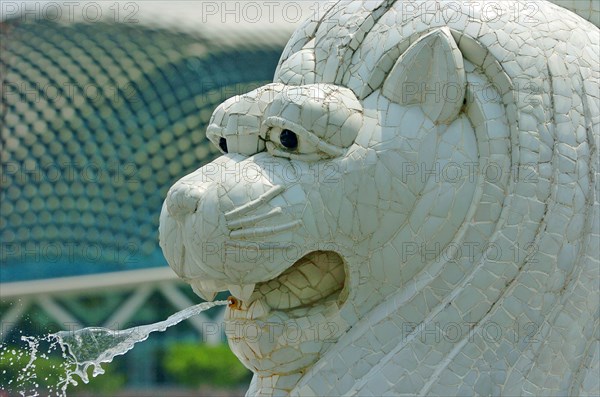 SINGAPORE, MERLION STATUE, " SITUATED INFRONT OF THE FULLERTON HOTEL AND FINACIAL DISTRICT BEHIND. The Merlion is one of the most well-known tourist icons of Singapore. Its landmark statue, once at the Merlion Park, was relocated to the front of the Fullerton Hotel in April 2002.In 2002, the statue was relocated to its current site that fronts Marina Bay with the completion of the Esplanade Bridge in 1997. The statue measures 8.6 metres high and weighs 70 tonnes. The merlion was designed by Fraser Brunner for the Singapore Tourism Board in 1964 and was used as its logo up to 1997. The Merlion continues to be its trademark symbol."