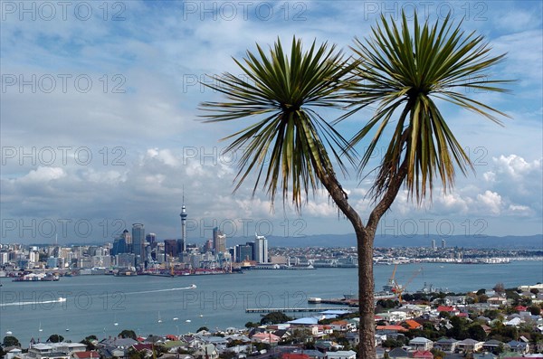 NEW ZEALAND, NORTH ISLAND , AUCKLAND , GENERAL VIEW OF AUCKLAND SKYLINE SHOWING AUCKLAND HARBOUR AND THE RESIDENTIAL DISTRICT OF DEVENPORT PICTURE TAKEN FROM THE MOUNT VICTORIA RESERVE.