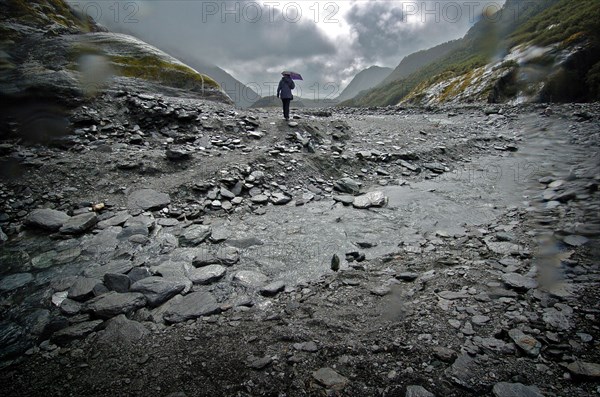 NEW ZEALAND, SOUTH ISLAND, WEST COAST, "MOUNT COOK NATIONAL PARK, A WALKER CROSSES A STREAM INFRONT OF THE TERMINAL FACE OF THE FRANZ JOSEF GLACIER. Julius von Haast, geologist and explorer, named Franz Josef Glacier in 1863, after the Emperor of the Austro-Hungarian Empire. Approximately 7000 years old, and a remnant of a much older and larger glacier which originally swept right to the sea, Franz Josef Glacier extends 12 kilometres from its three feeder glaciers in the high snow fields of the southern Alps. "