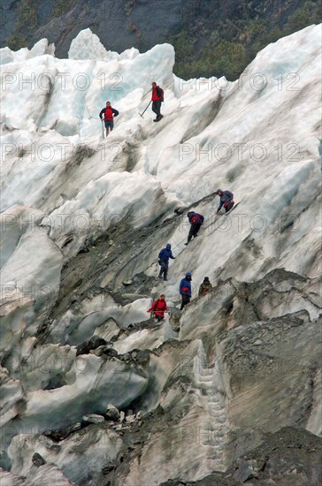 NEW ZEALAND, SOUTH ISLAND, WEST COAST, "MOUNT COOK NATIONAL PARK, A GROUP HIKES THE FRANZ JOSEF GLACIER. Julius von Haast, geologist and explorer, named Franz Josef Glacier in 1863, after the Emperor of the Austro-Hungarian Empire. Approximately 7000 years old, and a remnant of a much older and larger glacier which originally swept right to the sea, Franz Josef Glacier extends 12 kilometres from its three feeder glaciers in the high snow fields of the southern Alps."