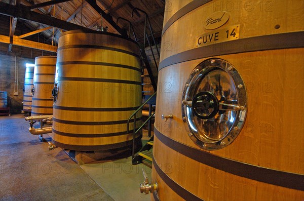 NEW ZEALAND, NORTH ISLAND, HAWKES BAY, "NAPIER, GENERAL VIEW OF THE CUVE ROOM AT CHURCH ROAD WINERY."