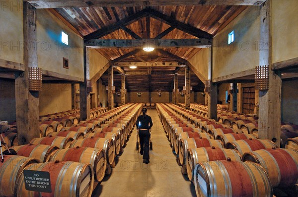 NEW ZEALAND, NORTH ISLAND, HAWKES BAY, "NAPIER, THE TOM MCDONALD WINE CELLAR AT CHURCH ROAD WINERY, Built as a tribute to the legendary father of quality red winemaking in New Zealand, Tom McDonald, the cellar features New Zealand matai floors (recycled from the old Napier wool stores at Port Ahuriri), open jarrah beams and contemporary copper lighting. At the cellar's rear lie hundreds of French oak barriques in which Church Road's premium Bordeaux-style red wines mature."