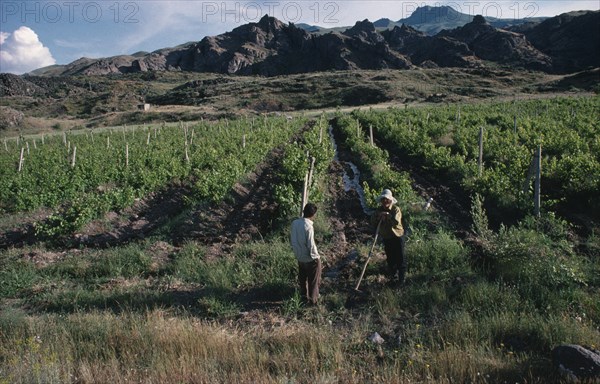 ARMENIA, Vaik Region, Agriculture, Landscape with vineyards and two men stopped in conversation in foreground.