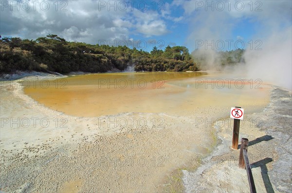 NEW ZEALAND, NORTH ISLAND, ROTORUA, THE CHAMPAGNE POOL OF WAI O TAPU THERMAL WONDERLAND.THE SPRING IS 65 METRES IN DIAMETER AND 62 METRES DEEP.THE POOL WAS FORMED 700 YEARS AGO BY A HYDROTHERMAL ERUPTION.VARIOUS MINERALS ARE DEPOSITED AROUND THE SURROUNDING SINTER LEDGE OF THE POOL PRODUCING MANY DIFFERENT COLOURS.