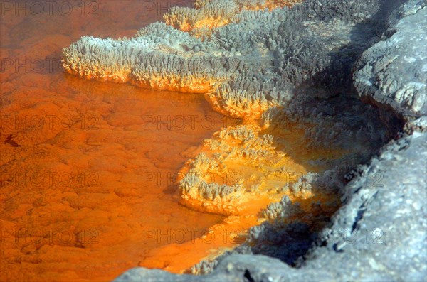 NEW ZEALAND, NORTH ISLAND, ROTORUA, THE CHAMPAGNE POOL OF WAI O TAPU THERMAL WONDERLAND.THE SPRING IS 65 METRES IN DIAMETER AND 62 METRES DEEP.THE POOL WAS FORMED 700 YEARS AGO BY A HYDROTHERMAL ERUPTION.VARIOUS MINERALS ARE DEPOSITED AROUND THE SURROUNDING SINTER LEDGE OF THE POOL PRODUCING MANY DIFFERENT COLOURS.