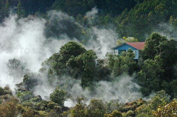 NEW ZEALAND, NORTH ISLAND, ROTORUA, BOILING MUD POOLS AND BOILING SULPHUROUS HOT WATER GEYERS OF WHAKAREWAREWA THERMAL VILLAGE.