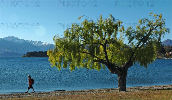 NEW ZEALAND, SOUTH ISLAND, WANAKA, "OTAGO, A MAN WALKS THE SHORELINE OF LAKE WANAKA."