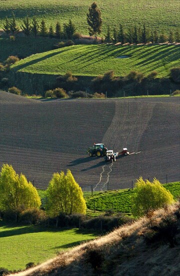 NEW ZEALAND, SOUTH ISLAND, OTAGO, "ARROWTOWN, A TRACTOR PLOUGHS A FIELD IN THE CROWN TERRACE DISTRICT NEAR TO ARROWTOWN, "