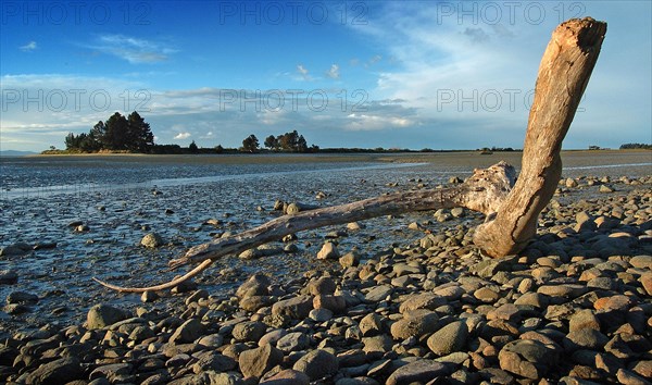 NEW ZEALAND, SOUTH ISLAND, NELSON, VIEW OF THE COAST ESTUARY FROM MARTIN STREET ON THE MONACO PENISULA NEAR NELSON AIRPORT.