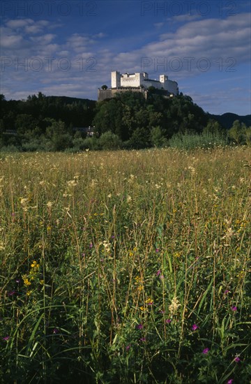 AUSTRIA, Salzburg, Hohensalzburg fortress situated on densely forested hillside above meadowland.  Constructed in 1077 by Archbishop Gebhard.