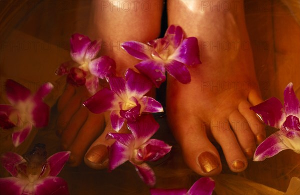 CHINA, Beijing, Bodhi Theraputic Retreat.  Close cropped shot of feet soaking in water scattered with orchid flowers.