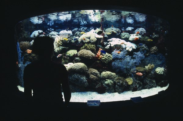 CHINA, Shanghai, Ocean Aquarium.  Silhouetted figure standing in front of exhibit of coral and brightly coloured fish.