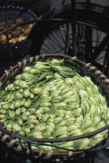 CHINA, Shanghai, "Pak Choi packed in large, circular woven wicker basket."