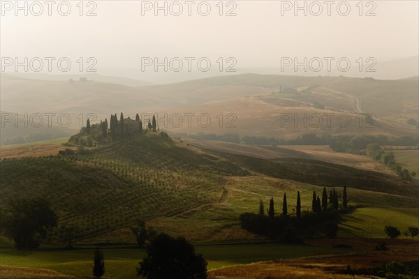ITALY, Tuscany, San Quirico D’Orcia, Early morning mist in the Val d'Orcia with a hilltop farmhouse surrounded by cypress trees sitting above olive groves and wheat fields