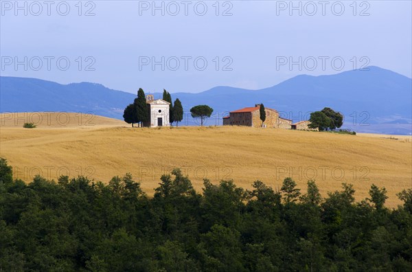 ITALY, Tuscany, San Quirico D’Orcia, Chapel and farmhouse set amongst wheatfields on the top of a hill in the Val d'Orcia