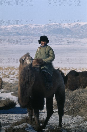 MONGOLIA, Gobi Desert, "Young Khalkha man dressed in traditional fleece-lined winter clothing on bull camel, foaming at mouth in winter rutting season.  Distant Altai mountains behind. East Asia Asian Kids Mongol Uls Mongolian Scenic "