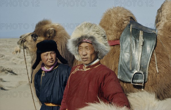 MONGOLIA, People, Bigersum negdel collective  Khalkha father and son in fleece-lined winter traditional silk tunics  standing with bactrian camel with rope bridle and leather saddle positioned between the two humps. East Asia Asian Male Men Guy Mongol Uls Mongolian