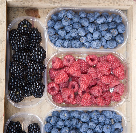 ITALY, Tuscany, Siena, Blackberries Blueberries and Raspberries displayed in containers outside a grocery shop