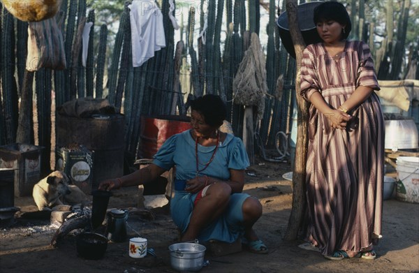 COLOMBIA, Guajira Peninsula, Guajiro Indians, Guajira Indian desert settlement  Two women in family's open shelter-home with small wood fire cooking   possessions hanging on slatted wall and hunting dog in background. Wayu Wayuu Guajro Amerindian Arawakan Colombia-Venezuela border American Colombian Columbia Female Woman Girl Lady Hispanic Latin America Latino South America