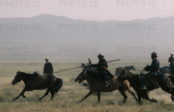 MONGOLIA, Gobi Desert, Biger Negdel, "Khalkha horsemen galloping at full stretch to round up wild horses for breaking in, using long lassoe poles."