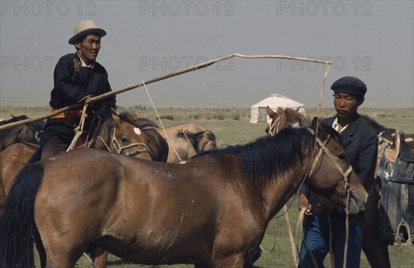 MONGOLIA, Gobi Desert, Biger Negdel, Khalkha horseman using a long lassoe-pole to bring in a wild pony to be broken in   East Asia Asian Equestrian Mongol Uls Mongolian
