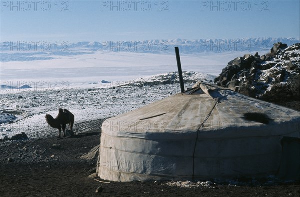 MONGOLIA, Gers/Yurts, "Khalkha winter sheep camp. Ger or Yurt with flu pipe from interior fireplace, the Khalkha family home in snow covered landscape with bactrian camel at side and Altai mountain backdrop. East Asia Asian Mongol Uls Mongolian Scenic "