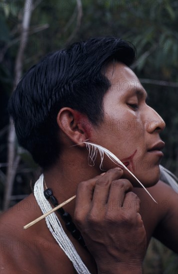 COLOMBIA, North West Amazon, Tukano Indigenous People, Barasana man  Bosco headman of maloca communal home   applying red Achiote facial paint with ear pierced with white royal crane feather and wearing traded white glass bead necklace plus strings of black fruit seeds. Tukano sedentary Indian tribe North Western Amazonia body decoration American Colombian Columbia Hispanic Indegent Latin America Latino Male Men Guy South America Tukano