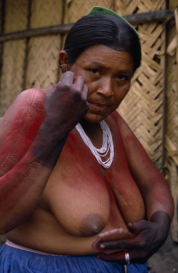 COLOMBIA, North West Amazon, Tukano Indigenous People, Barasana woman  Paulina applying red Achiote fruit body paint to arms and upper body in preparation for manioc festival.  Hands already coloured dark purple to wrists dye made from boiled we leaves.  Tukano sedentary Indian tribe North Western Amazonia body decoration American Colombian Colored Columbia Female Women Girl Lady Hispanic Indegent Latin America Latino South America Tukano