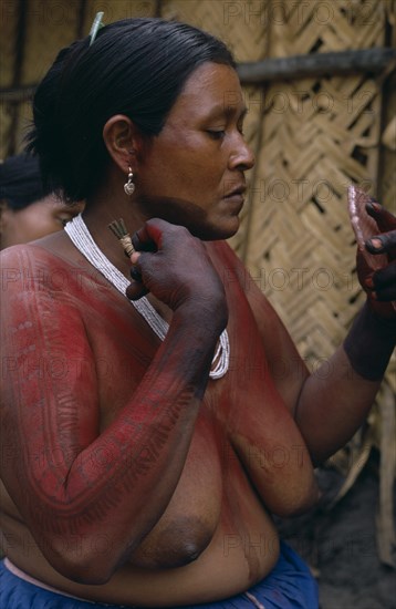 COLOMBIA, North West Amazon, Tukano Indigenous People,  Barasana woman  Paulina  using cumare fibre bound twigs to apply pattern to red Achiote fruit body paint on arms and upper body in preparation for manioc festival.  Hands and wrists already coloured dark purple with dye made from boiled we leaves. Tukano sedentary Indian tribe North Western Amazonia body decoration American Colombian Colored Columbia Female Women Girl Lady Hispanic Indegent Latin America Latino South America Tukano