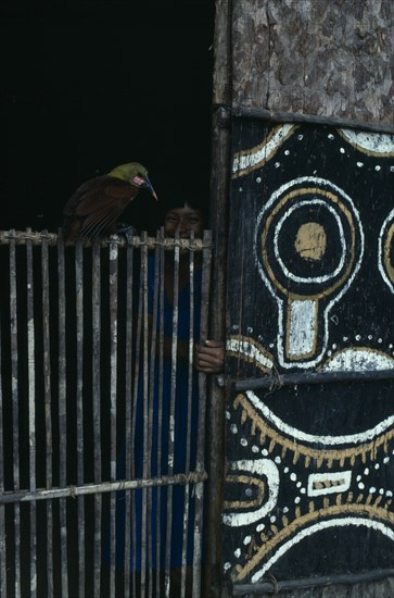 COLOMBIA, North West Amazon, Tukano Indigenous People, Detail of Makuna communal tribal home or maloca with white yellow clay and charcoal painted design on exterior facade.  Child looking out from interior with pet bird  type of Oropendola sitting on doorway beside her.   Tukano  Makuna Indian North Western Amazonia maloca American Children Colombian Columbia Hispanic Indegent Kids Latin America Latino South America Tukano