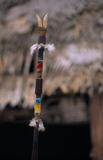 COLOMBIA, North West Amazon, Tukano Indigenous People, "Detail of top of Makuna Kurubeti stave used by shamans to ward off evil spirits, thunder and tropical storms  decorated with humming-bird  macaw and egret feathers and teeth of wild boar. Tukano Makuna Indian North Western Amazonia American Colombian Columbia Hispanic Indegent Latin America Latino Religion South America Tukano "