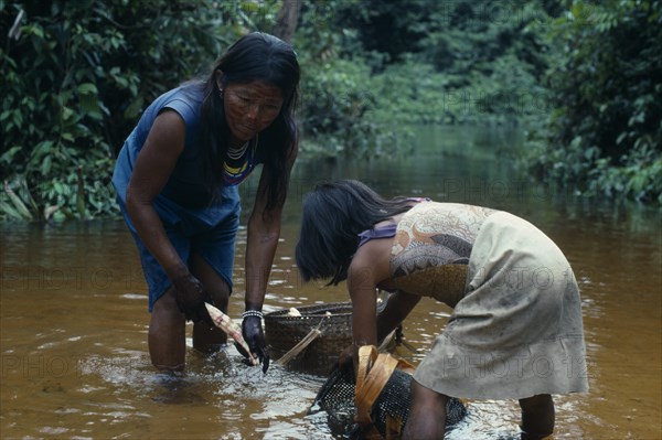 COLOMBIA, North West Amazon, Tukano Indigenous People, Makuna mother and daughter washing manioc roots brought in from chagra cultivation plot  prior to rubbing down on flint inlain board to make farinha flour and casabe. Tukano Makuna rio Piraparana Vaupes South America Tukano