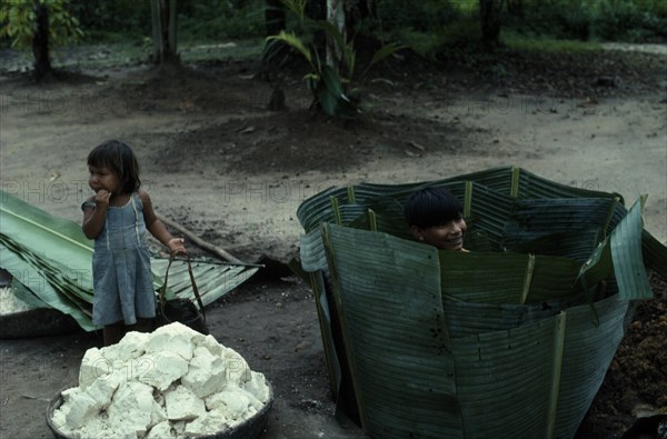 COLOMBIA, North West Amazon, Tukano Indigenous People, Makuna maloca communal home Blocks of manioc flour ready for underground storage inside plantain leaves.  Makuna child playing inside coil of leaves to form container with little girl standing at side. Tukano  Makuna Indian North Western Amazonia cassava American Children Colombian Columbia Hispanic Indegent Kids Latin America Latino Roundel South America Tukano