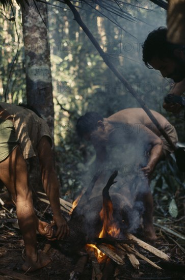 COLOMBIA, North West Amazon, Vaupes, Maku hunters singeing hair from carcass of wild boar over open fire. On right of frame silhouette of anthropologist Peter Silverwood-Cope.  indigenous tribe indian nomadic American Colombian Columbia Hispanic Indegent Latin America Latino South America Vaupes Vaupes