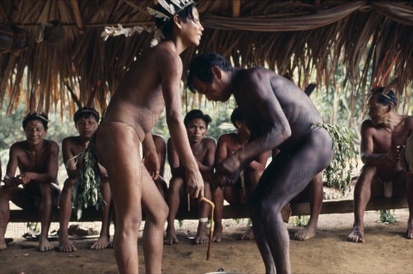 COLOMBIA, North West Amazon, Vaupes, Pair of Maku men taking part in dance watched by others seated behind beneath palm thatched shelter.  Many with painted bodies and wearing macaw feather crowns. indigenous tribe indian nomadic American Colombian Columbia Hispanic Indegent Latin America Latino Male Man Guy Performance South America Vaupes Male Men Guy Vaupes