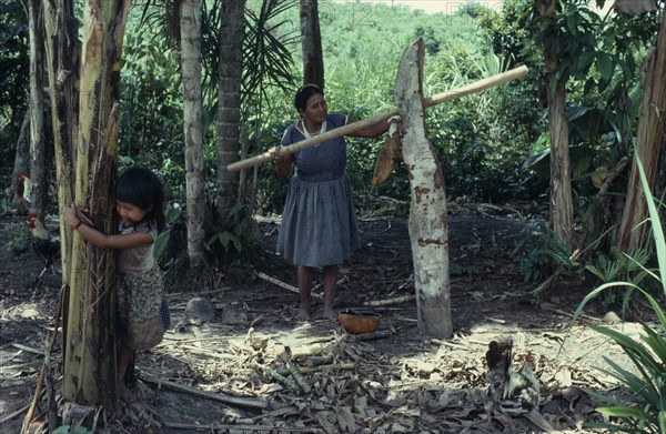 COLOMBIA, North West Amazon, Tukano Indigenous People, "Barasana woman  Paulina, headman Bosco's sister,  outside maloca  pressing sugar cane through simple trapiche/press  Her daughter plays in foreground  both in Western dress. Tukano sedentary Indian tribe North Western Amazonia moloka American Colombian Columbia Female Women Girl Lady Hispanic Indegent Kids Latin America Latino South America Tukano Female Woman Girl Lady "