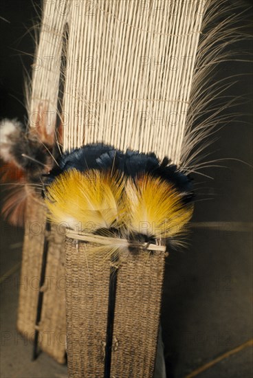 COLOMBIA, North West Amazon, Tukano Indigenous People, "Barasana ceremonial royal crane tail feathers with macaw & toucan small feathers, all bound together with cumare fibre - the central part of male feather crowns, placed on maloca floor ready to be worn during dance "