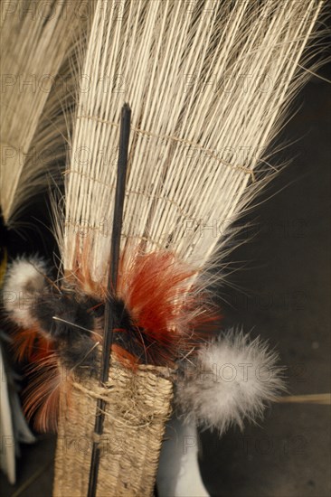 COLOMBIA, North West Amazon, Tukano Indigenous People, "Barasana ceremonial  royal crane tail feathers bound together with macaw & toucan small feathers to form central part of male dance regali, stand on maloca floor ready to be worn at dance. Tukano sedentary Indian tribe North Western Amazonia American Colombian Columbia Hispanic Indegent Latin America Latino South America Tukano  "