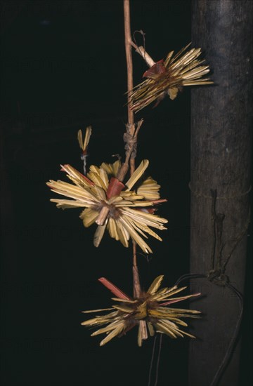 COLOMBIA, North West Amazon, Tukano Indigenous People, "Barasana ceremonial macaw and toucan feather crowns hang from central maloca house post, ready to be worn at dance"