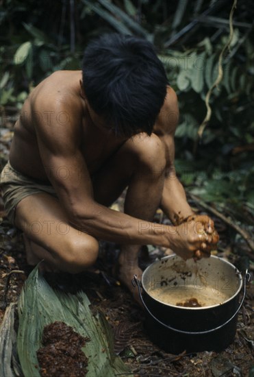 COLOMBIA, North West Amazon , Vaupes, Maku nomadic hunter Umero preparing curare from root liana and bark scrapings. Once boiled to gluey consistency used as poison for blowpipe dart heads.Final process of dipping dart heads into curare then allowing to dry always completed in cool of night i