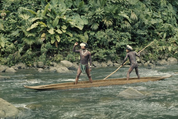 COLOMBIA, Choco, Embera Indigenous People, "Two Embera boys using pole to steer wooden dug out canoe through fast flowing rapids.  Young boys,adept at using canoes from very early age, wear crowns of wild sweet-smelling lilies to attract girls at a festival downstream. Pacific coastal region punt boat piragua rapid tribe American Colombian Columbia Hispanic Indegent Latin America Latino South America "