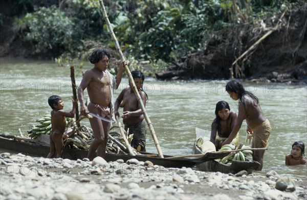 COLOMBIA, Choco, Embera Indigenous People, "Embera family arrive back at riverside home by dug-out canoe with sugar cane,maize and bananas from their forest cultivation plot  Pacific coastal region boat piragua tribe "