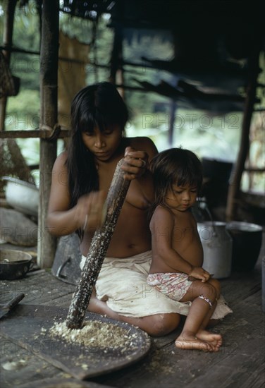 COLOMBIA, Choco, Embera Indigenous People, Embera woman grating Jagua fruit using palm-spine grater  on split bamboo floor of stilted riverside home  young daughter sitting on her lap.  The resulting pulp from the hard inedible fruit is then mixed with a little water and squeezed to extract liquid that darkens as it oxidises and is used as an indelible blue / black dye for body and facial decoration.   Pacific coastal region tribe family custom tradition body paint preparation American Children Colombian Colombia Female Women Girl Lady Hispanic Indegent Kids Latin America Latino South America  Pacific coastal region tribe family custom tradition body paint preparation American Children Colombian Columbia Female Women Girl Lady Hispanic Indegent Kids Latin America Latino South America Female Woman Girl Lady Immature Young Unripe Unripened Green