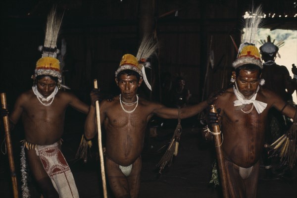 COLOMBIA, North West Amazon, Tukano Indigenous People, "Barasana manioc festival.  Line of male dancers wearing full ceremonial regalia   royal crane macaw and toucan feather head-dresses   bodies and faces painted with dark purple ""we"" leaf juice and red Achiote fruit dye   painted bark-cloth aprons, monkey fur and monkey teeth belts Tukano sedentary Indian tribe North Western Amazonia American Colombian Columbia Hispanic Indegent Latin America Latino Performance South America Tukano   "